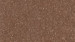 Acorn.jpg