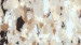 Mojave-Beige.jpg